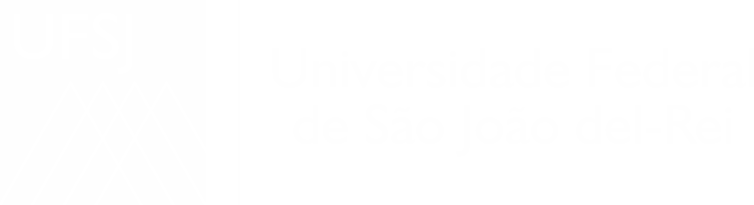 Universidade Federal de São João del-Rei